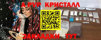 СК Моздок