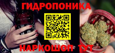 прущие грибы Можайск