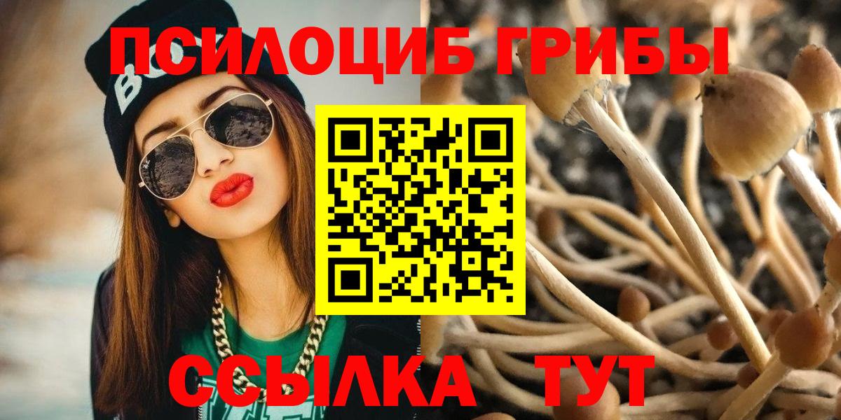 Псилоцибиновые грибы прущие грибы  Псилоцибиновые грибы мухоморы  Черкесск  Вход с VPN 