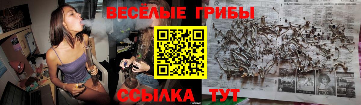Галлюциногенные грибы Magic Shrooms Черкесск